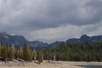 DSC_3026 (Large).JPG